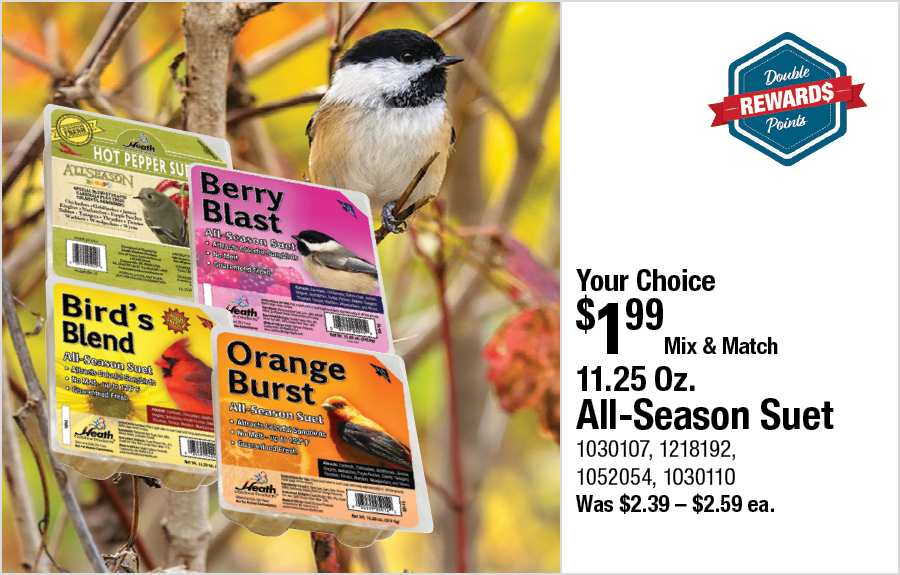 11.25 Oz. All-Season Suet